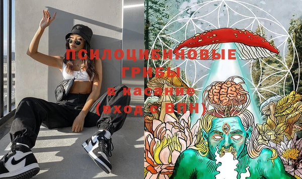 мескалин Баксан