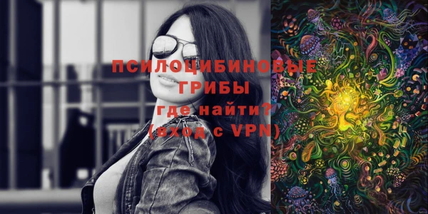 амф Белокуриха